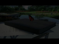 Ο Φαντιόρ χορεύει το ντουλάπι της κουζίνας